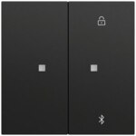 Gira Bedienelement 2-fach schwarz für Jalousieeins 538174