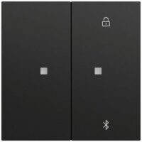 Gira Bedienelement 2-fach schwarz für Jalousieeins 538174