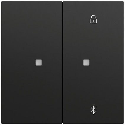 Gira Bedienelement 2-fach schwarz für Jalousieeins 538174
