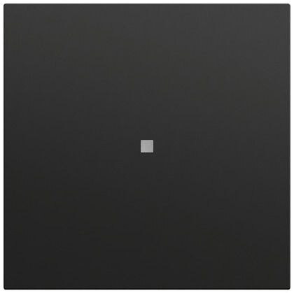 Gira Gira Kontrollwippe Schalter schwarz lackiert 349074
