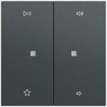 Gira Bedienelement 2-fach anthrazit 538473