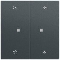 Gira Bedienelement 2-fach anthrazit 538473
