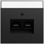 Gira Tragring RJ45 2-fach schwarz Schraubbefestigung matt 264074 mit Beschriftungs Feld