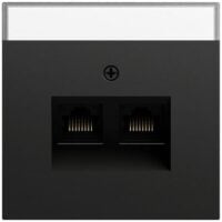 Gira Tragring RJ45 2-fach schwarz Schraubbefestigung matt 264074 mit Beschriftungs Feld