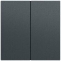 Gira Wippe Serien Schalter anthrazit lackiert 537073