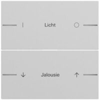 Gira Wippe Serien Tastsensor grau lackiert 576276 individuellgraviert