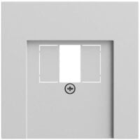 Gira Zentralplatte USB/TAE 1-fach grau matt 027676 Schraubbefestigung