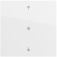 Gira Bedienelement 1-fach reinweiß glänzend 538270