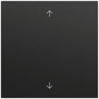 Gira Wippe Schalter schwarz lackiert Pfeile 538974