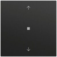 Gira Kontrollwippe Schalter schwarz lackiert 538874 Pfeile
