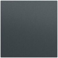 Gira Bedienelement 1-fach anthrazit 536073