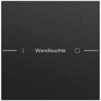 Gira Wippe 1-teilig Tastsensor schwarz lackiert 576174 individuellgraviert
