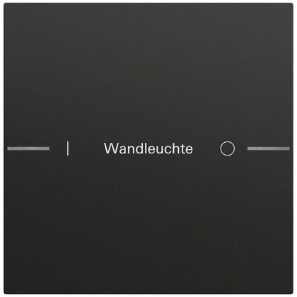 Gira Gira Wippe 1-teilig Tastsensor schwarz lackiert 576174 individuellgraviert