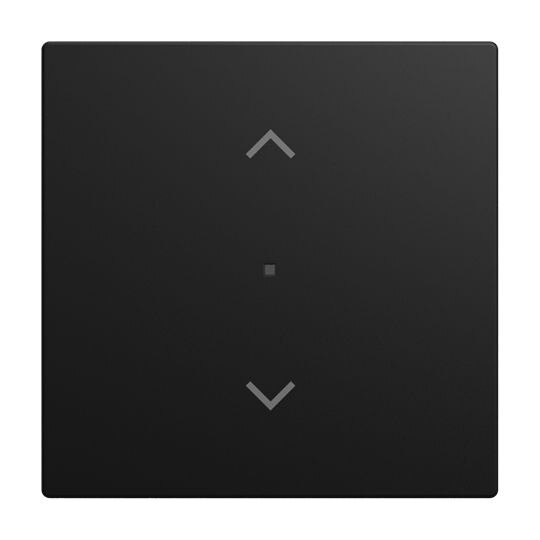 Busch-Jaeger Tastwippe KNX free@home schwarz Busch-balance SI 6232-10-915 matt Kunststoff 1-fach