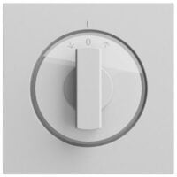Gira Knebel Schalter grau lackiert 066676