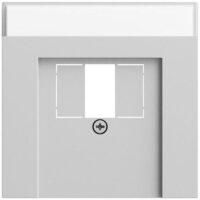 Gira Zentralplatte USB/TAE 1-fach grau matt 087676 Schraubbefestigung mit Beschriftungs Feld