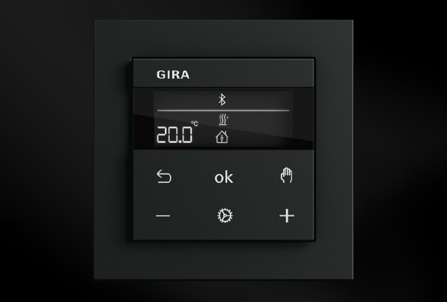 Gira 55 Einfachrahmen Silber