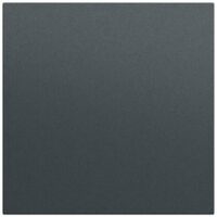 Gira Wippe Schalter anthrazit lackiert 349673
