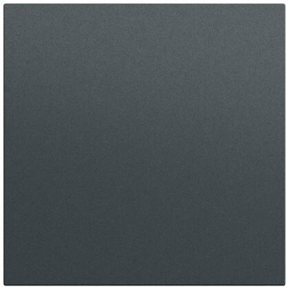 Gira Gira Wippe Schalter anthrazit lackiert 349673