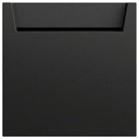 Gira Hotelcard Schalter schwarz lackiert 314074