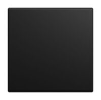 Busch-Jaeger Wippe Schalter schwarz matt Busch-balance SI 2506-915