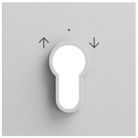 Gira Schlüssel/Abdeckung Schalter grau lackiert 066476