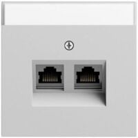Gira Tragring RJ45 2-fach grau Schraubbefestigung matt 264076 mit Beschriftungs Feld