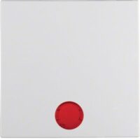 Berker Kontrollwippe Schalter polws matt 16291919 austb Symb