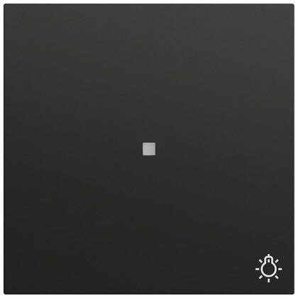 Gira Gira Kontrollwippe Schalter schwarz lackiert 367474 Licht