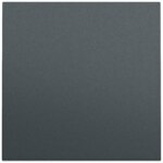 Gira Wippe Schalter anthrazit lackiert 329673