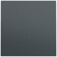 Gira Wippe Schalter anthrazit lackiert 329673