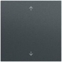Gira Wippe Schalter anthrazit lackiert Pfeile 538973
