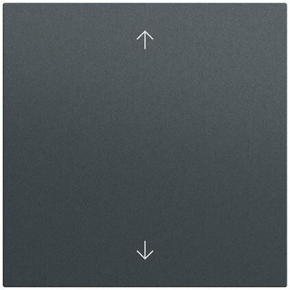 Gira Gira Wippe Schalter anthrazit lackiert Pfeile 538973