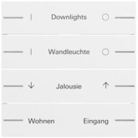 Gira Taste_4t Tastsensor reinweiß lackiert 576472 individuellgraviert