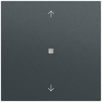 Gira Gira Kontrollwippe Schalter anthrazit lackiert 538873 Pfeile