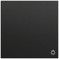 Gira Wippe Schalter schwarz lackiert Licht 328574