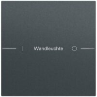 Gira Wippe 1-teilig Tastsensor anthrazit lackiert 576173 individuellgraviert