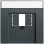 Gira Zentralplatte USB/TAE 1-fach anthrazit 087673 Schraubbefestigung mit Beschriftungs Feld