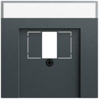 Gira Zentralplatte USB/TAE 1-fach anthrazit 087673 Schraubbefestigung mit Beschriftungs Feld