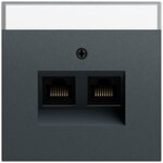 Gira Tragring RJ45 2-fach anthrazit Schraubbefestigung 264073 mit Beschriftungs Feld