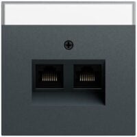 Gira Tragring RJ45 2-fach anthrazit Schraubbefestigung 264073 mit Beschriftungs Feld