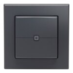 Homematic IP Wandtaster 2-fach anthrazit HmIP-WRC2-A-2