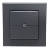 Homematic IP Wandtaster 2-fach anthrazit HmIP-WRC2-A-2