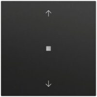 Gira Bedienelement 1-fach schwarz 538274