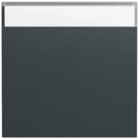 Gira Wippe Schalter anthrazit lackiert 329973