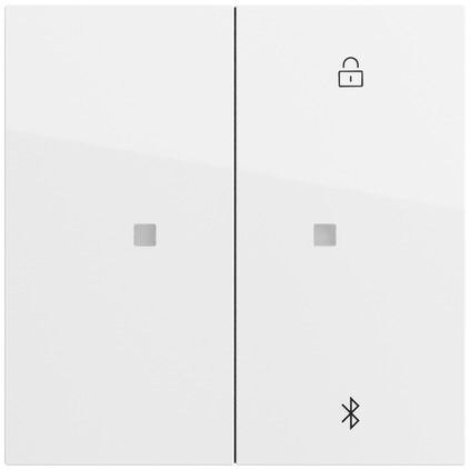 Gira Bedienelement 2-fach reinweiß für Jalousieeins 538170 glänzend