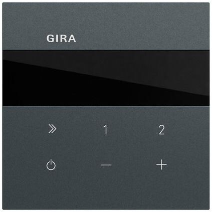 Gira Gira UP-Radio anthrazit lackiert 232073 Basis+zentr Abdeckpl