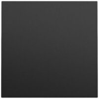 Gira Wippe Schalter schwarz lackiert 329674