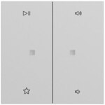 Gira Bedienelement 2-fach grau matt 538476