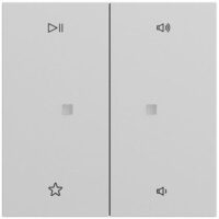 Gira Bedienelement 2-fach grau matt 538476